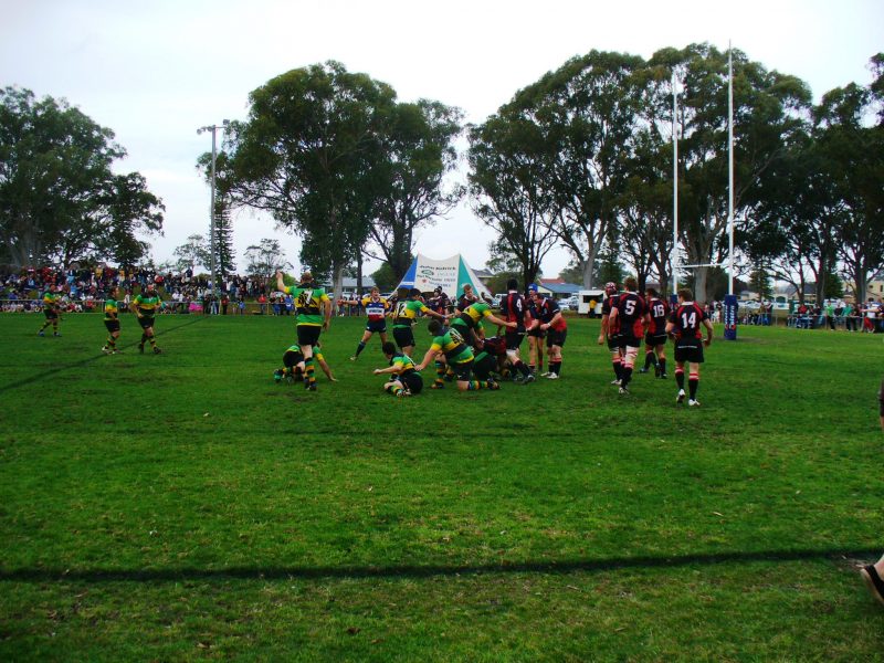 2010