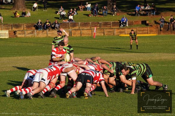 Round 11: Vikings vs Grafton Redmen