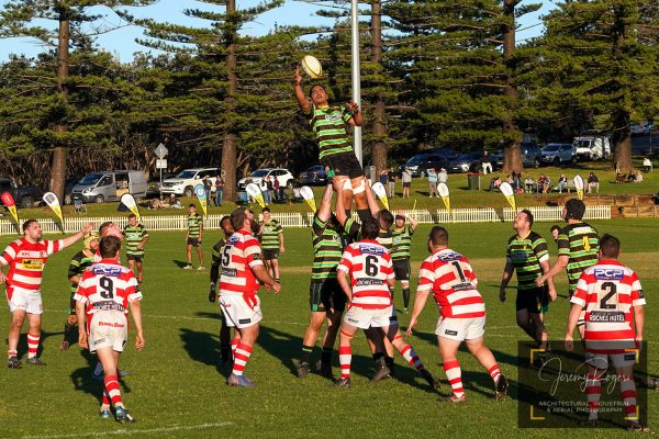 Round 11: Vikings vs Grafton Redmen