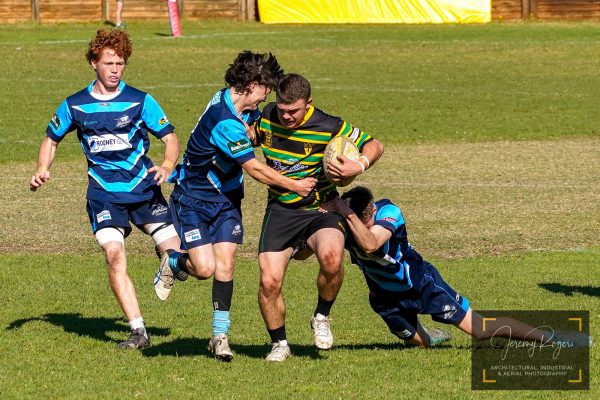 Vikings V SCU Marlins - Reserve Grade - 6th August 22