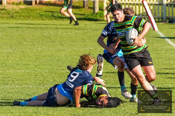 Vikings V SCU Marlins - First XV - 6th August 22